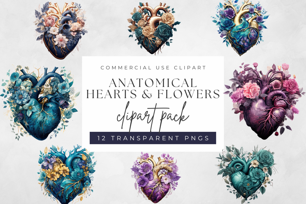 Watercolor Anatomical Hearts Clipart | 12 PNGs