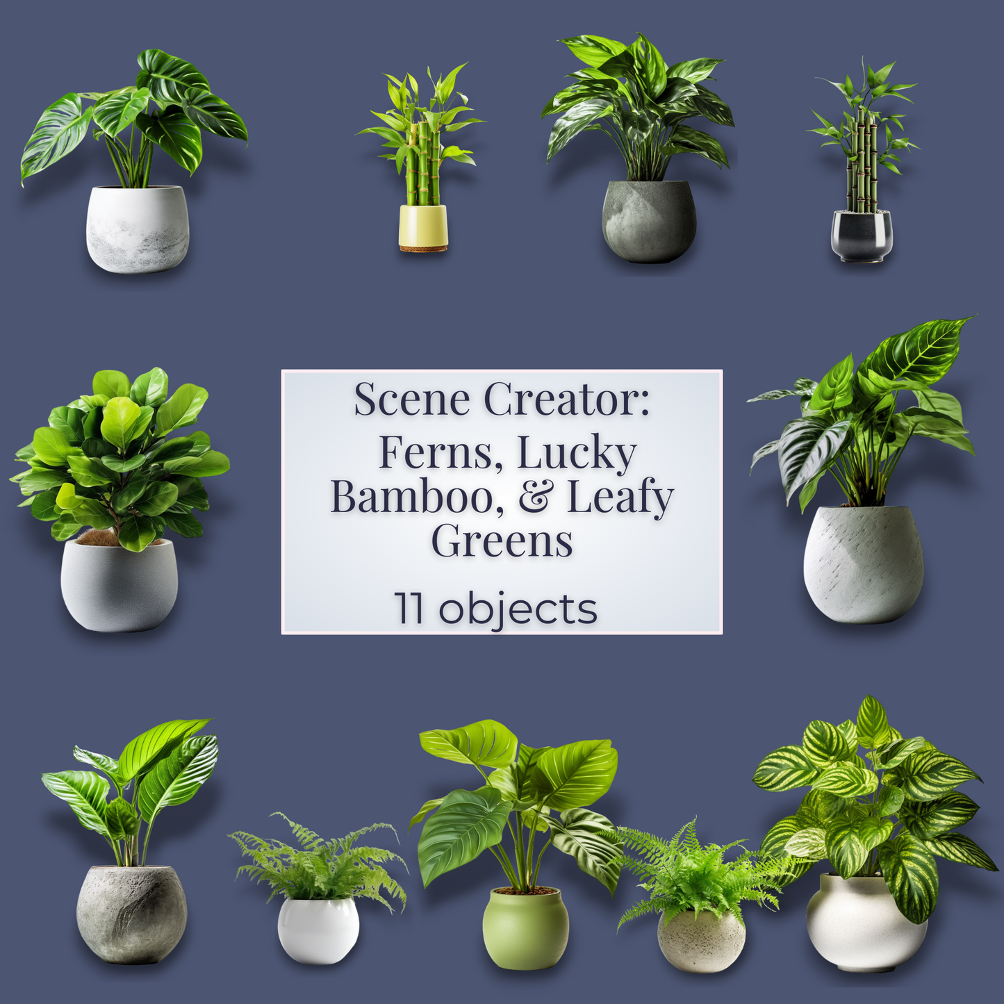 Seller Resources: Ferns, Lucky Bamboo, & Leafy Greens | 11 Objects